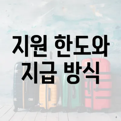 지원 한도와 지급 방식