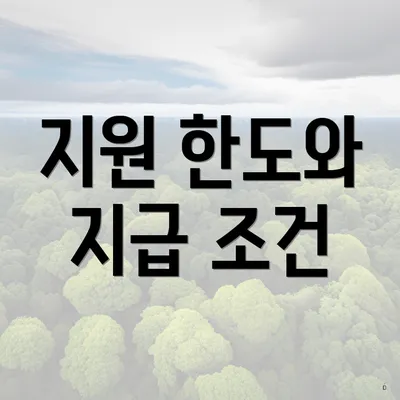 지원 한도와 지급 조건