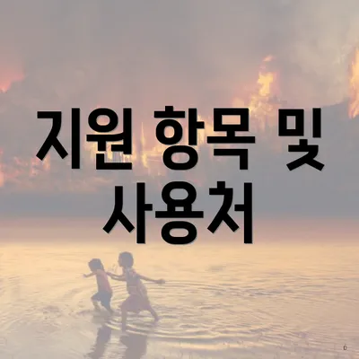 지원 항목 및 사용처