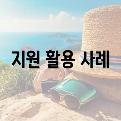 지원 활용 사례
