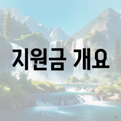 지원금 개요