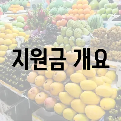 지원금 개요