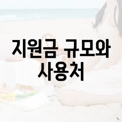 지원금 규모와 사용처