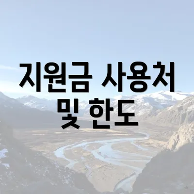 지원금 사용처 및 한도