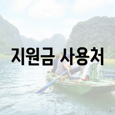 지원금 사용처