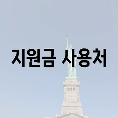 지원금 사용처