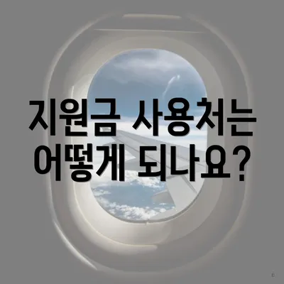 지원금 사용처는 어떻게 되나요?