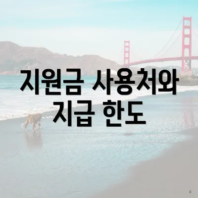 지원금 사용처와 지급 한도