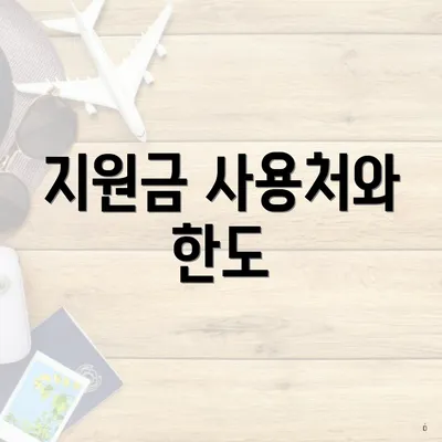 지원금 사용처와 한도