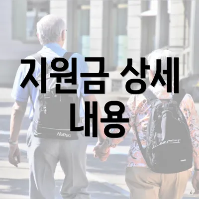 지원금 상세 내용