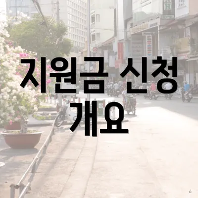 지원금 신청 개요