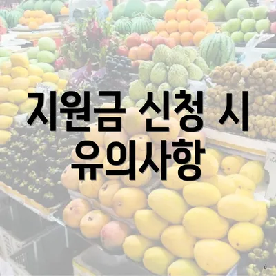 지원금 신청 시 유의사항