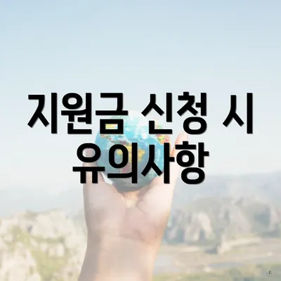 지원금 신청 시 유의사항