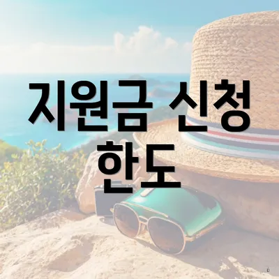 지원금 신청 한도