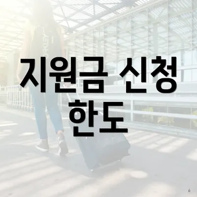 지원금 신청 한도