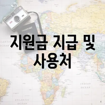 지원금 지급 및 사용처