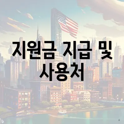지원금 지급 및 사용처