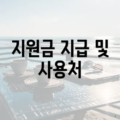 지원금 지급 및 사용처
