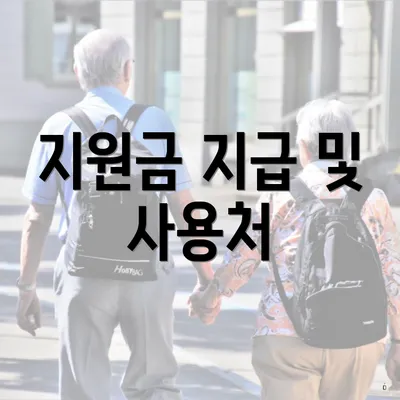 지원금 지급 및 사용처