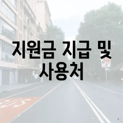 지원금 지급 및 사용처