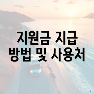 지원금 지급 방법 및 사용처