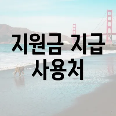 지원금 지급 사용처