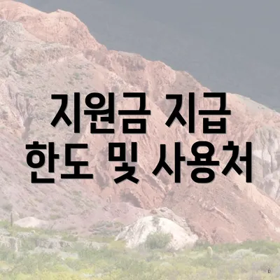 지원금 지급 한도 및 사용처