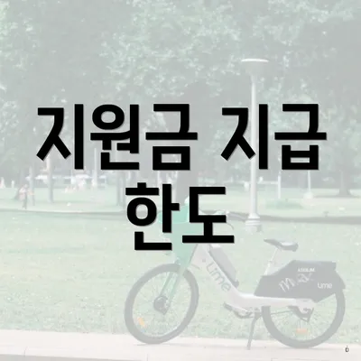 지원금 지급 한도