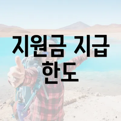 지원금 지급 한도