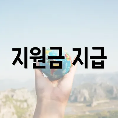 지원금 지급