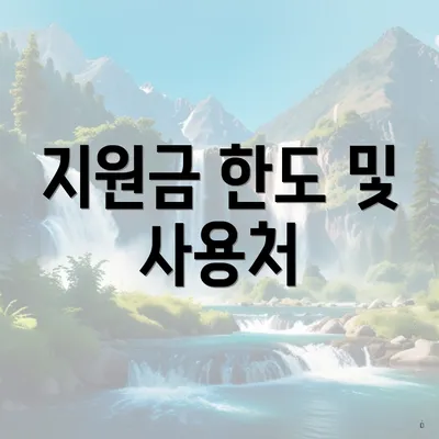 지원금 한도 및 사용처