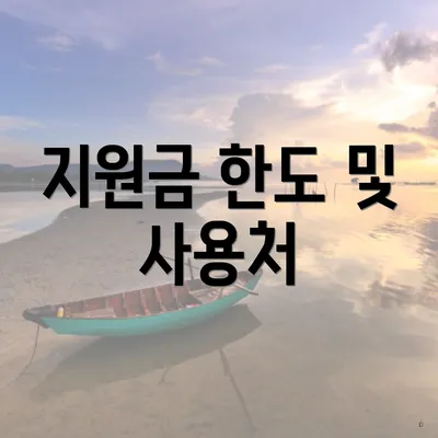 지원금 한도 및 사용처