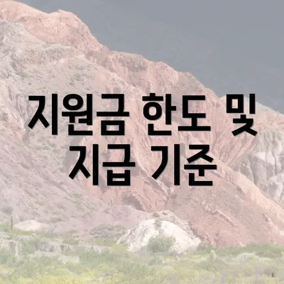 지원금 한도 및 지급 기준