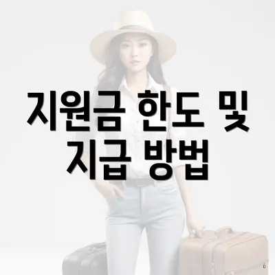 지원금 한도 및 지급 방법