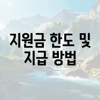 지원금 한도 및 지급 방법