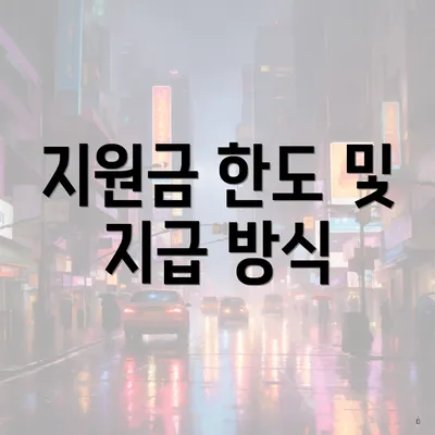 지원금 한도 및 지급 방식