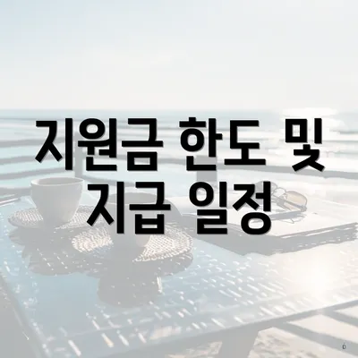지원금 한도 및 지급 일정