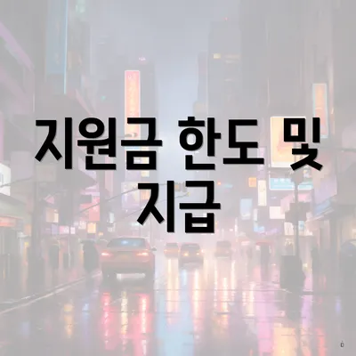 지원금 한도 및 지급