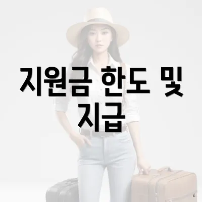 지원금 한도 및 지급
