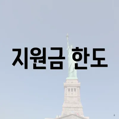지원금 한도