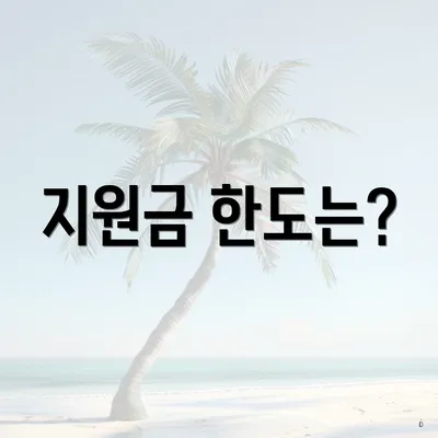 지원금 한도는?