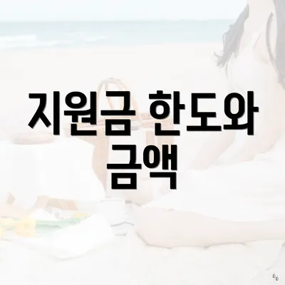 지원금 한도와 금액