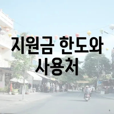 지원금 한도와 사용처