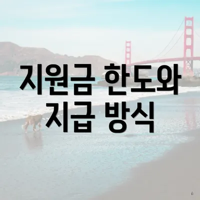 지원금 한도와 지급 방식