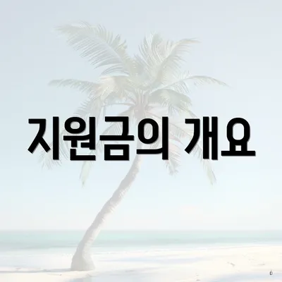 지원금의 개요