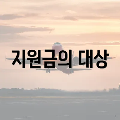 지원금의 대상