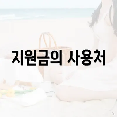 지원금의 사용처