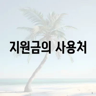 지원금의 사용처