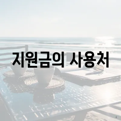 지원금의 사용처