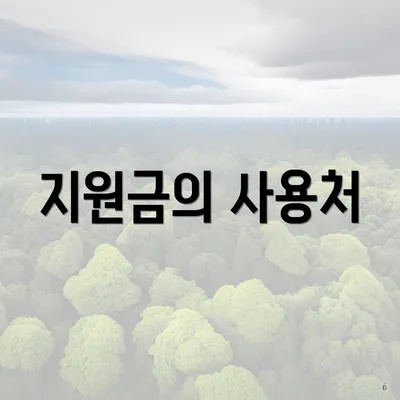 지원금의 사용처